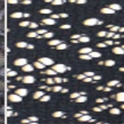 Jacquard knitted fabric swatch from the Hippo Knitting archive